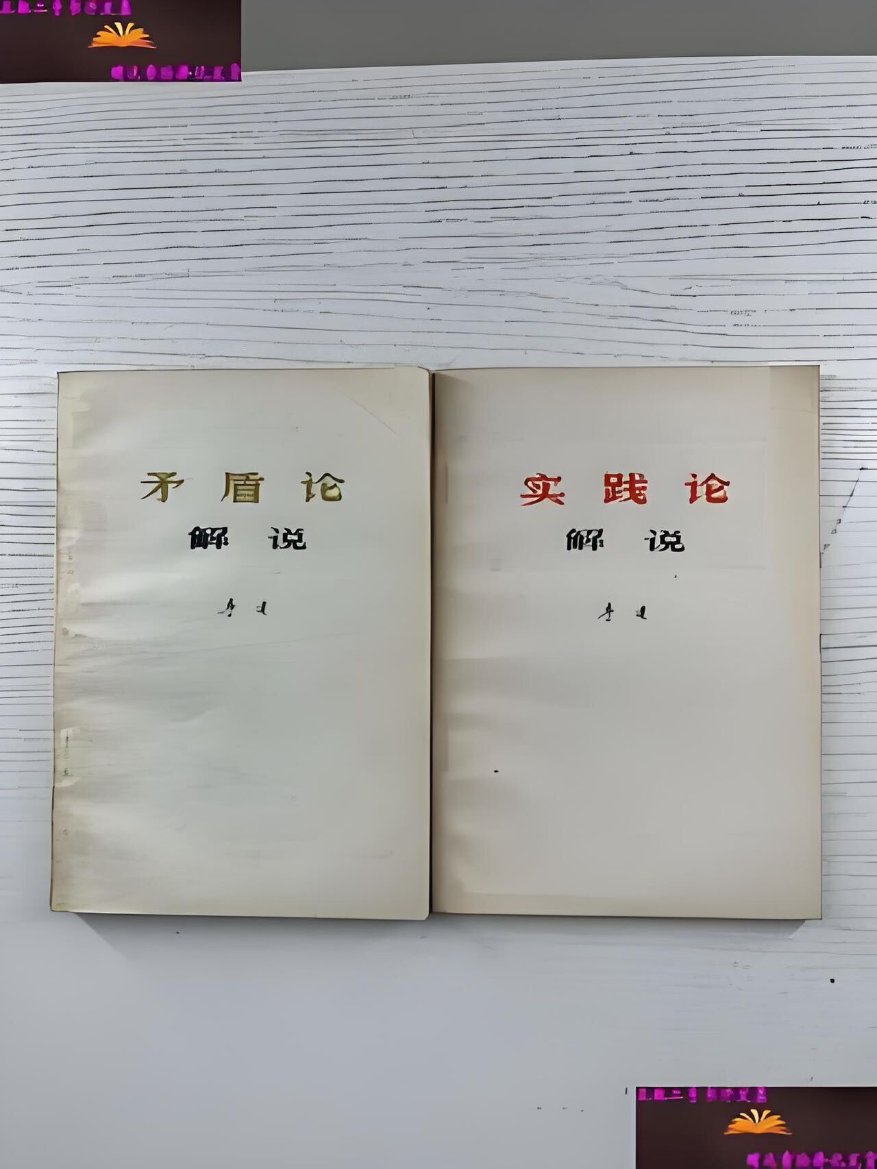 听风观雨闲聊 取伙真实活动图