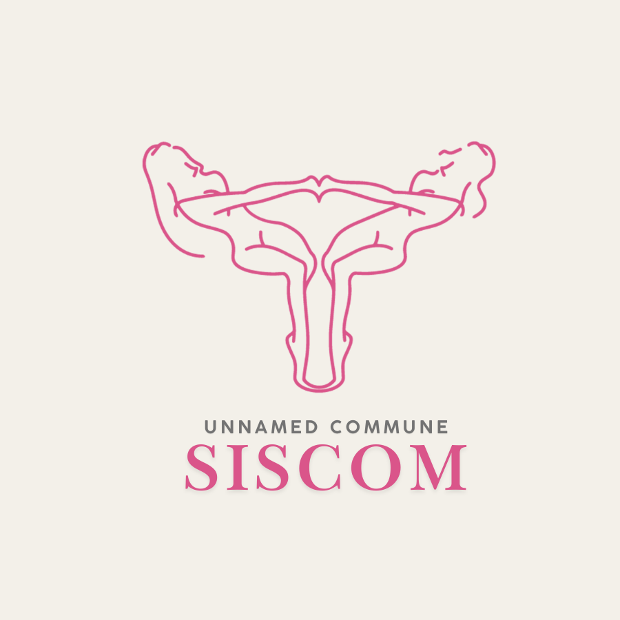 Siscom她的探索部（广州观影社群 logo）