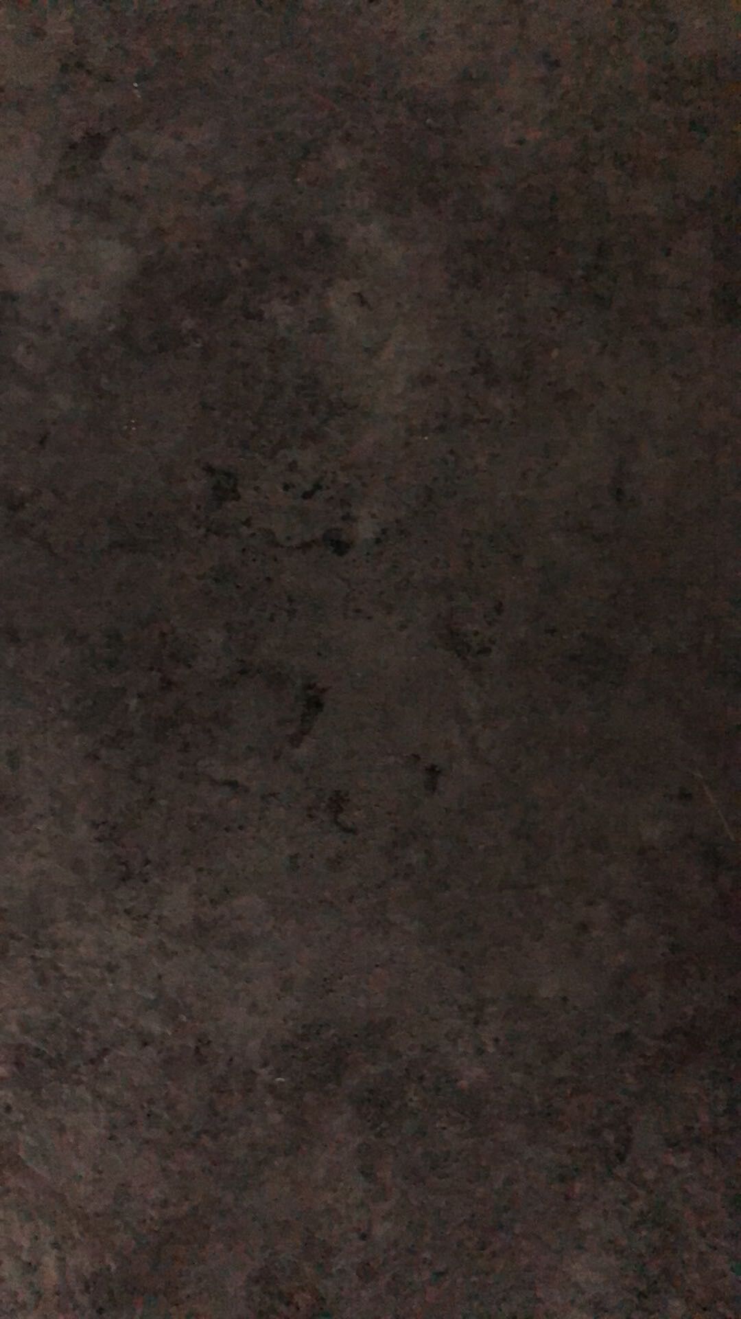 马评人带你观赏香港赛马赛事一日游
