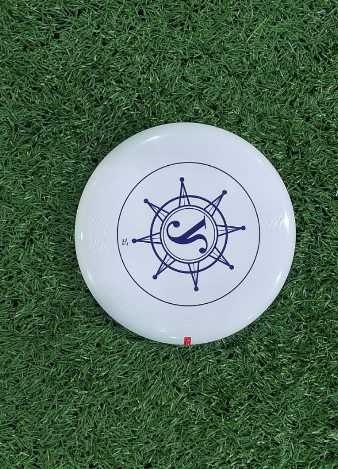 周日厢竹5v5飞盘活动海报