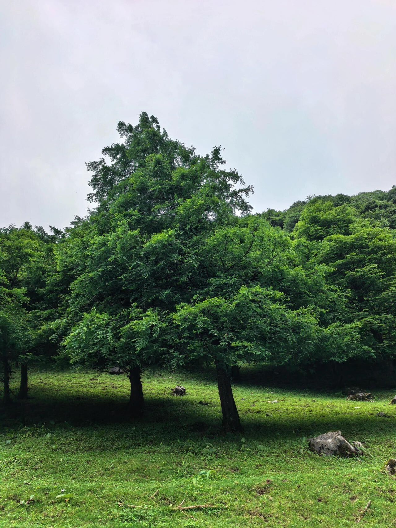 武隆仙南步道清凉徒步