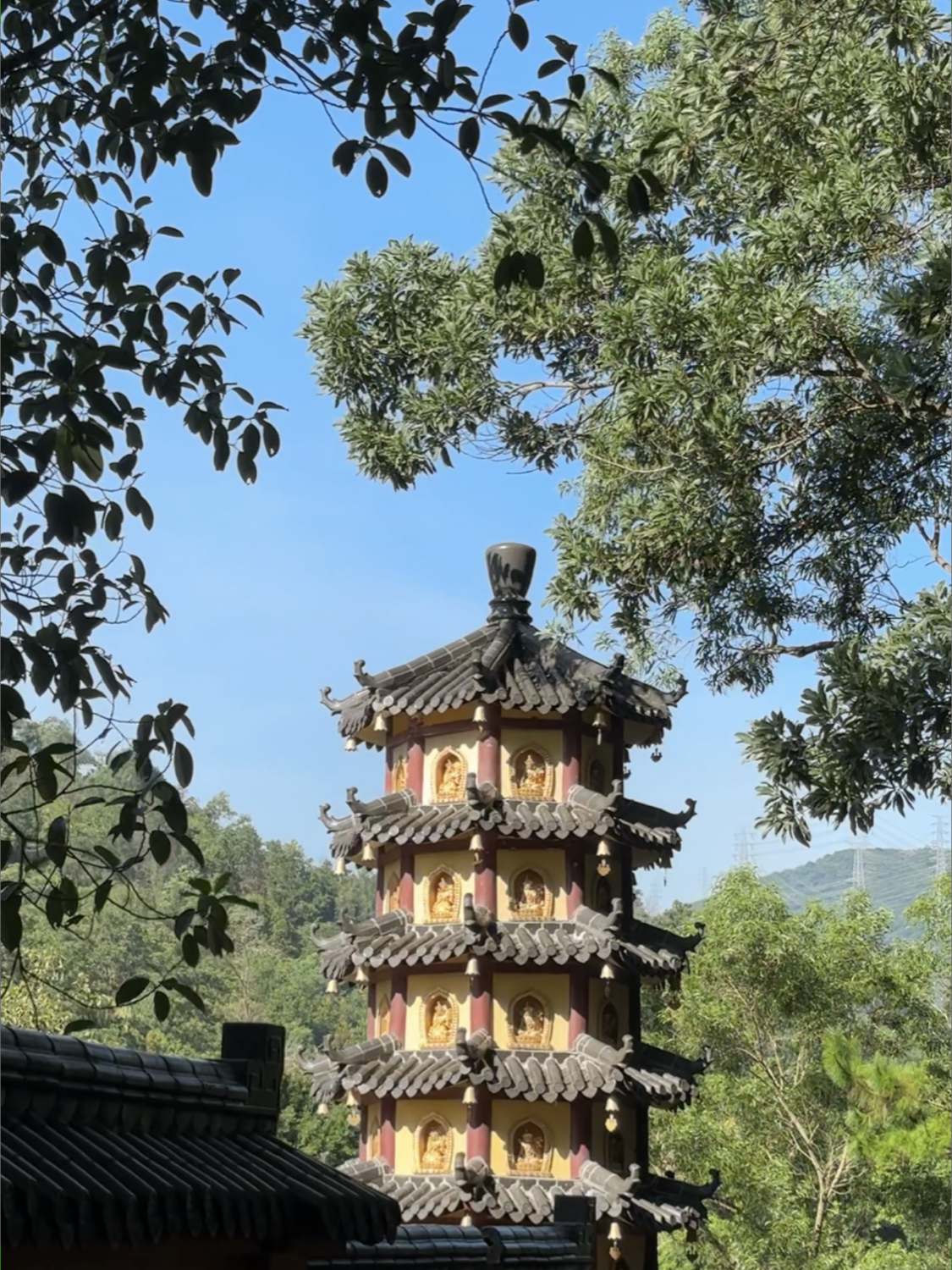 徒步|邂逅园山之美(四) 真实活动图片