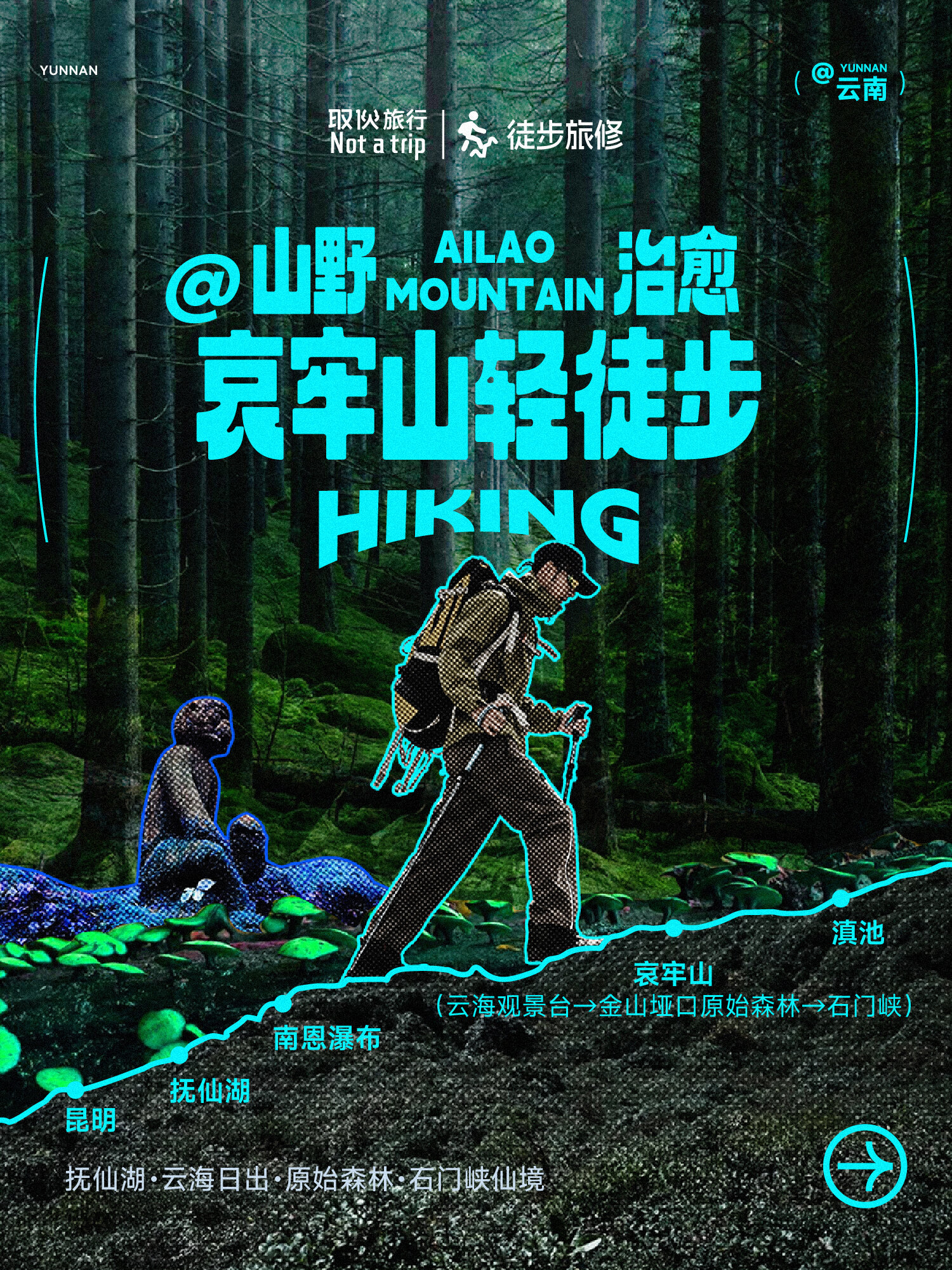 山野治愈 · 哀牢山轻徒步（取伙旅修）